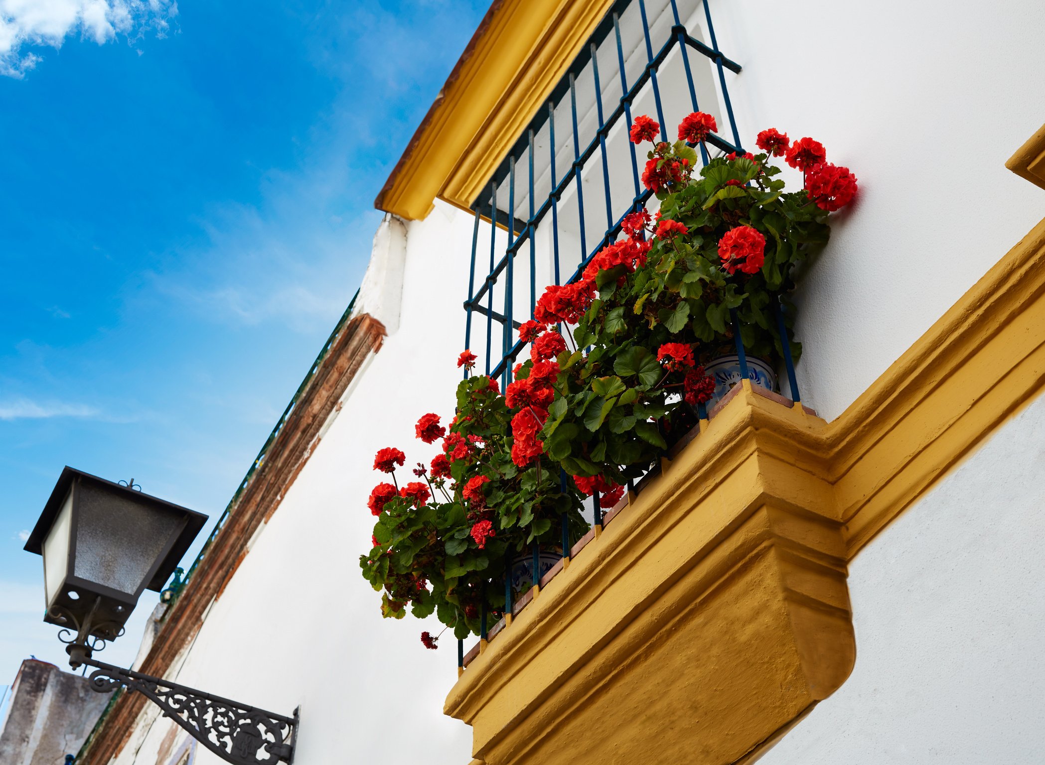 Triana Barrio Seville Facades